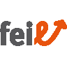 feil - Fehlschlüsse identifizieren lernen
